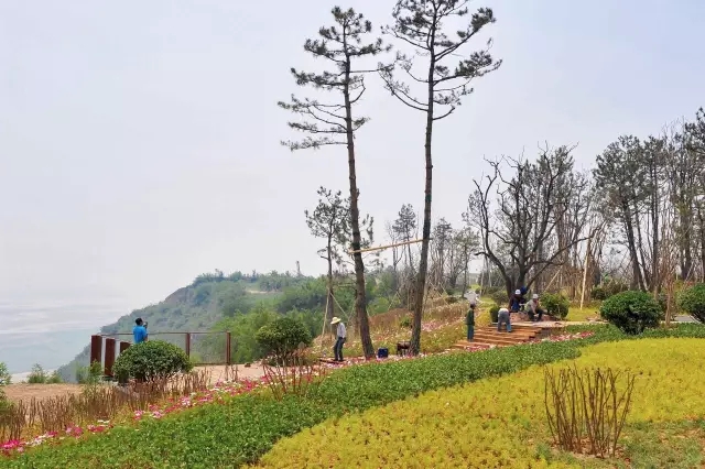 陜西省交通運輸廳領導一行百余人蒞臨沿黃公路韓城段景觀提升工程檢查工作