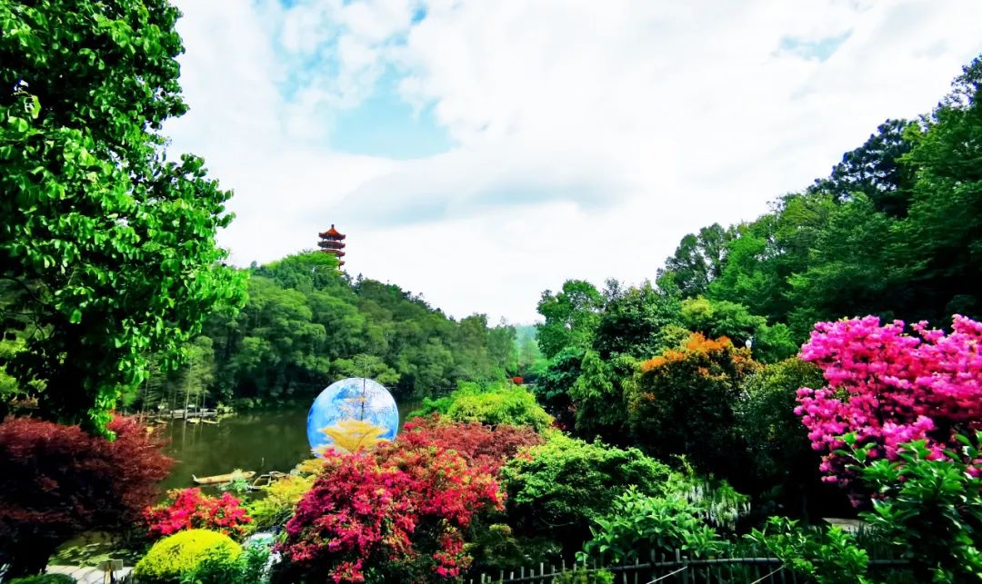 喜訊|2022粵港澳大灣區(qū)深圳花展“云”開幕，人文園林首次斬獲三項(xiàng)大金獎(jiǎng)！