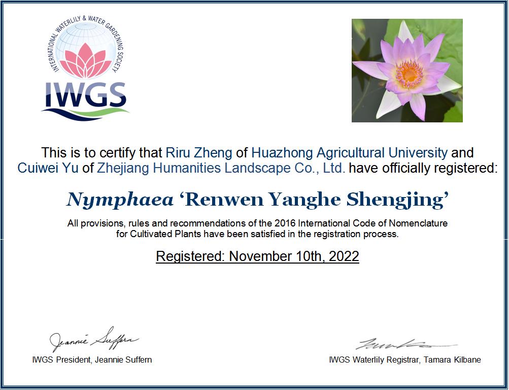 人文 陽(yáng)和盛景