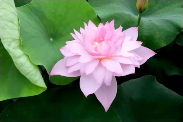 15108156644460675A46.png QQ圖片20171116145537.png