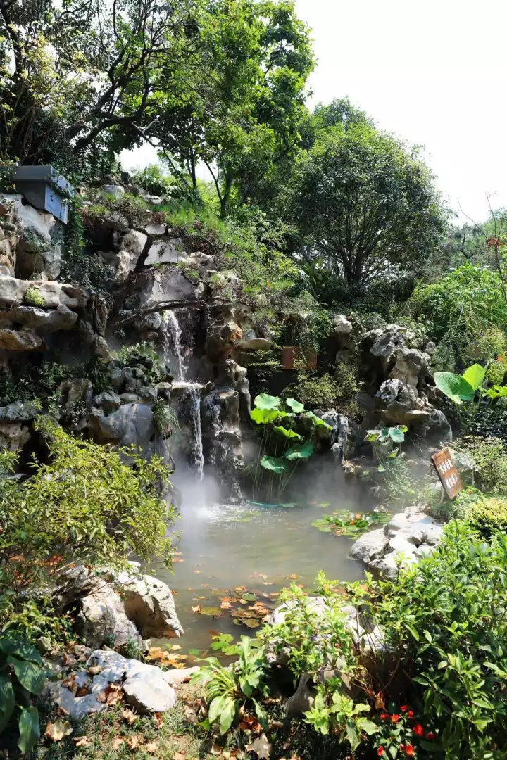 15142979358365379485.png 11.png