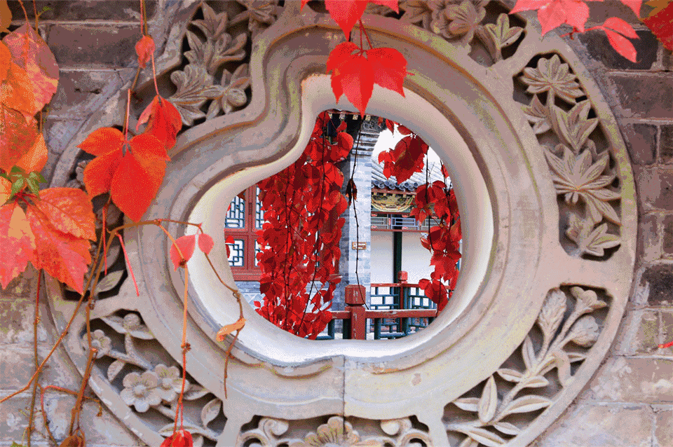 1525853677114184C93F.png QQ圖片20180509160519.png