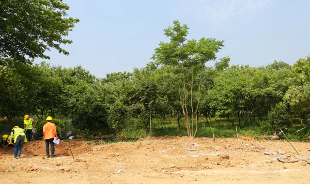 1536890690870532C7A9.jpg QQ圖片20180914095249.jpg