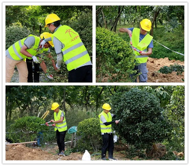 1536890933458374811C.jpg QQ圖片20180914095624.jpg