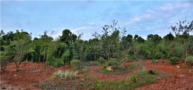 15368911911343837069.jpg QQ圖片20180914100119.jpg