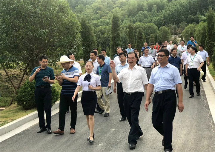 15371698524707676C87.jpg QQ圖片20180914113134.jpg