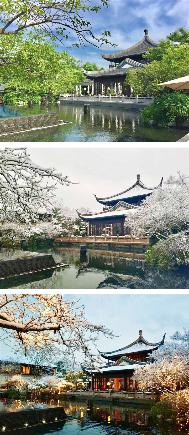 153718066212396165B6.jpg 費迎文-組圖.jpg