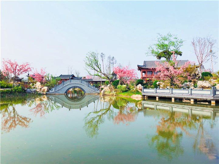 1537180739192179941A.jpg 黃有華-韓城國家文史公園瓊島攬月處紅花綠葉,春意盎然。.jpg