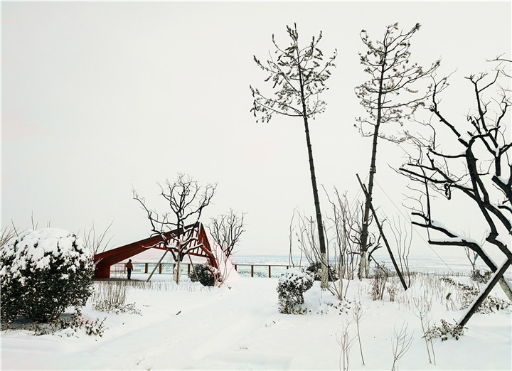 1537180755542200D136.jpg 張俊捷-5.一點紅銹 2017-12-23 白紙黑墨再配上一筆暖色,構(gòu)成了一幅有韻味的畫面。耐候鋼與油松的高矮對比,奠定了畫面的平衡。.jpg