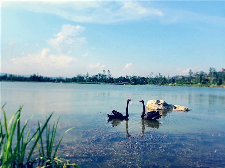 1537180781128729369B.jpg 劉博3-2【對鳴】-2018年5月-韓城國家文史公園.jpg