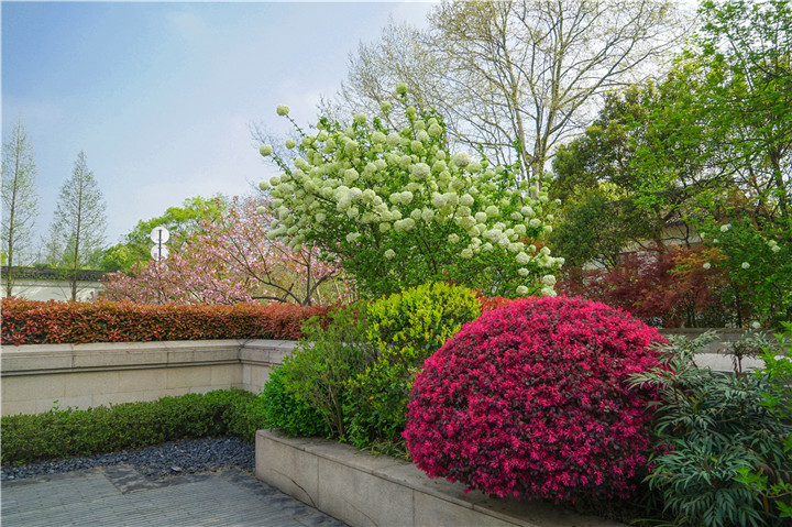 153718080464478891EE.jpg 聶晶晶-四季酒店春景.JPG