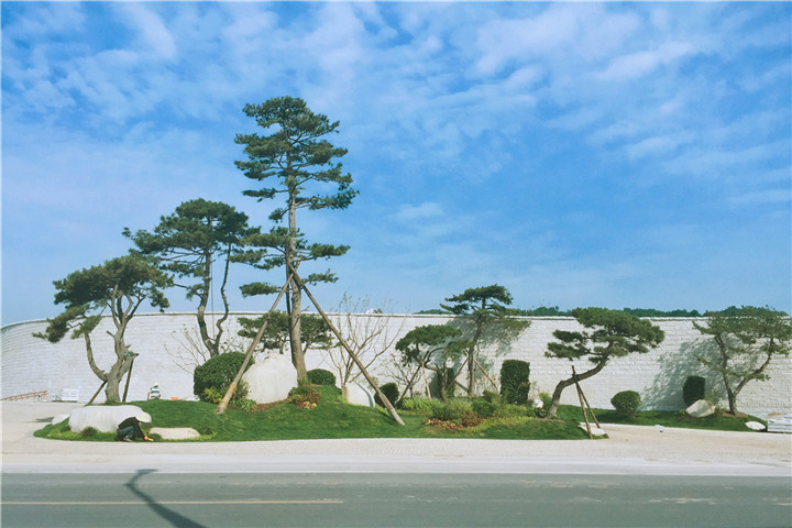 1537180810599819A865.jpg 錢煒 (2).JPG