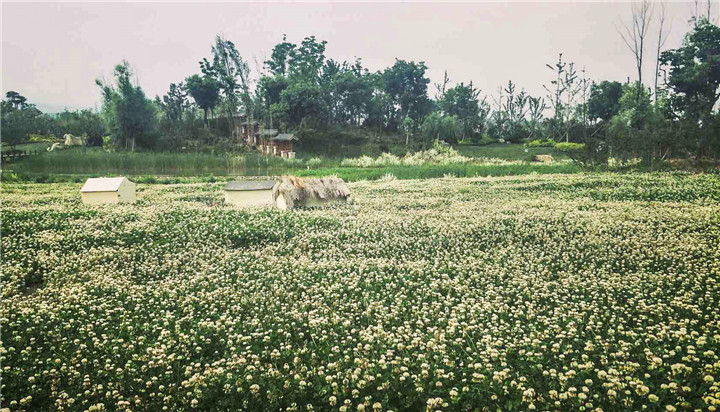 1537180821472919D3EB.jpg 王建 (1).jpg