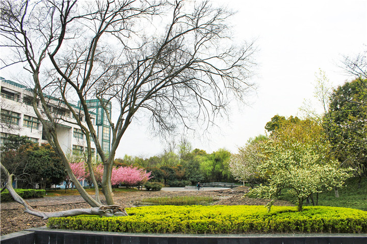 153718091627497347E6.jpg 徐盛暉-一夢青春.jpg