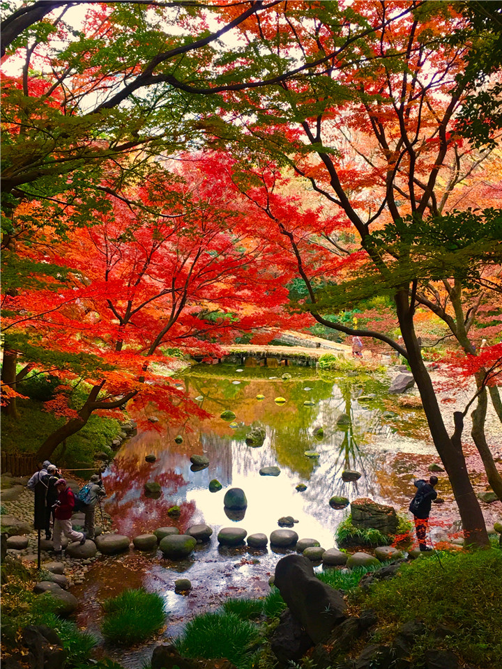 1537180952499168D23B.jpg 韋彥雷-林間趣味.jpg