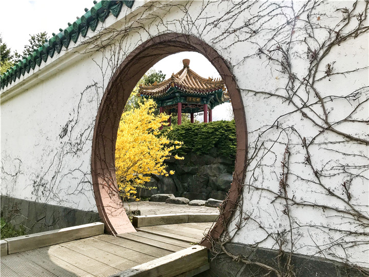 15371809911122616AB7.jpg 張文軍 墻1.jpg