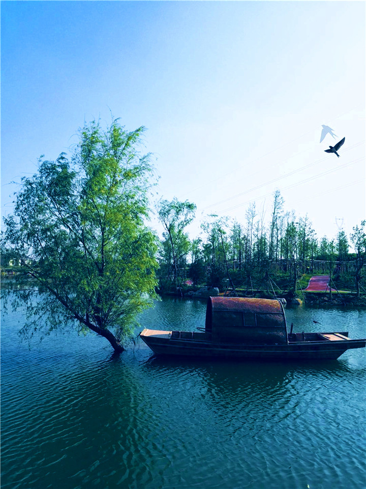 15371809966150967E9D.jpg 周海軍 沉舟側(cè)畔4.jpg