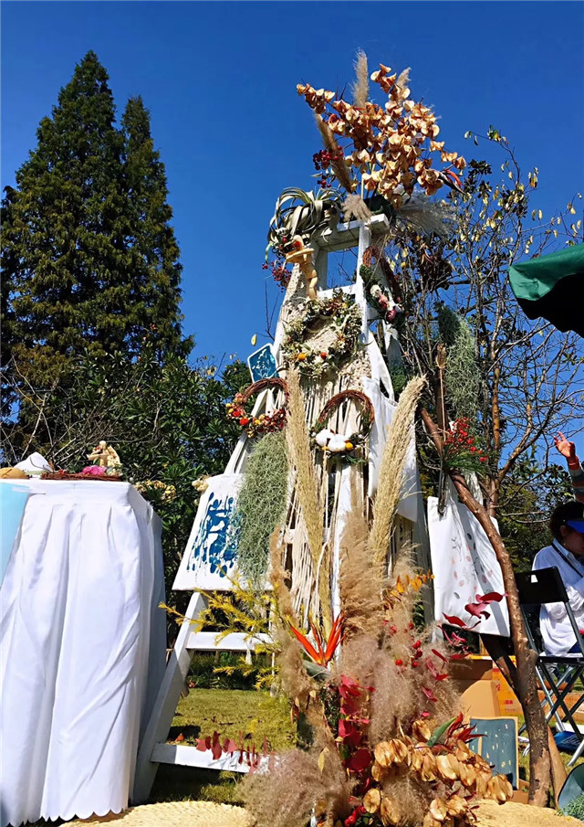 1541745672209005F3DC.jpg QQ圖片20181109143250.jpg