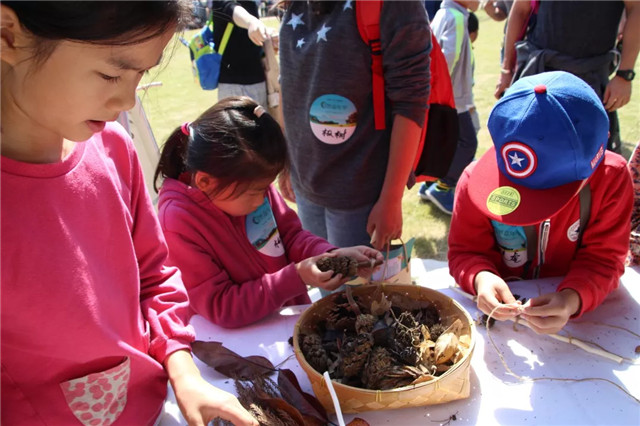 1541745706424078791B.jpg QQ圖片20181109143027.jpg