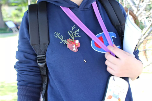 1541745735684119E7F4.jpg QQ圖片20181109143057.jpg