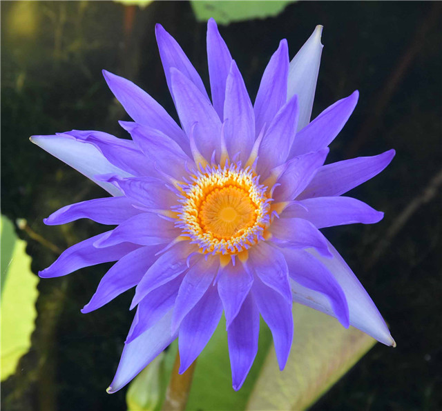 1541747946776723A846.jpg 人文 藍天.jpg