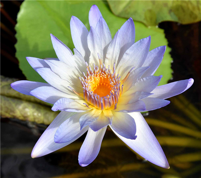 1541747999620303757F.jpg 人文 紫川.jpg