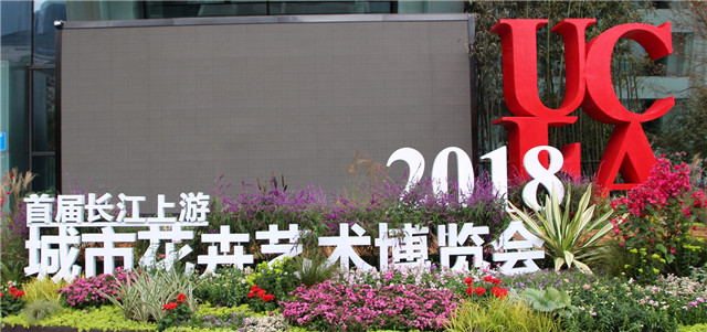 15417485011460921F51.jpg 0.jpg