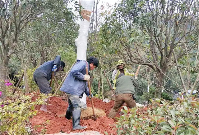 15482291151204286F85.jpg QQ圖片20190123153213.jpg