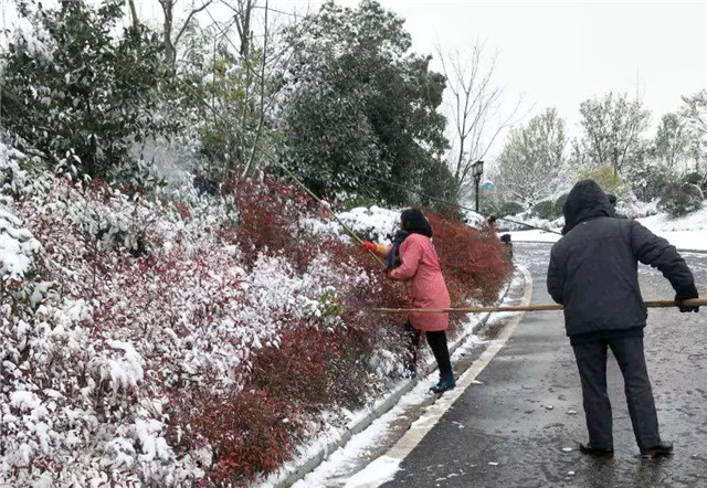 1548229133106929B654.jpg QQ圖片20190123153243.jpg