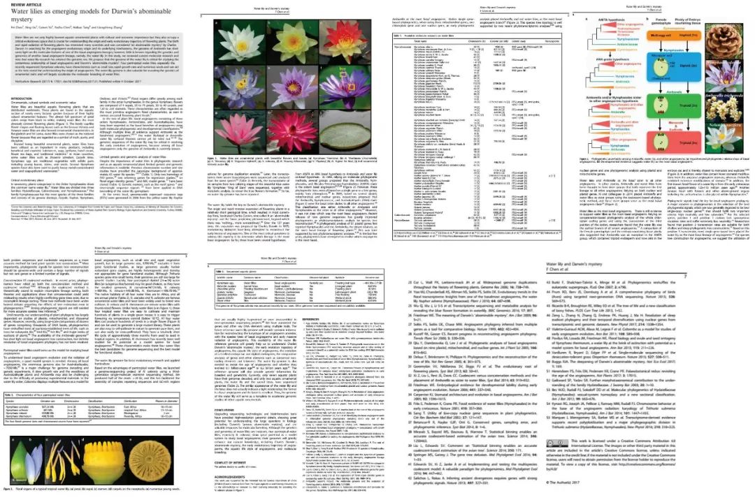 165242802926335496FE.jpg 1.jpg