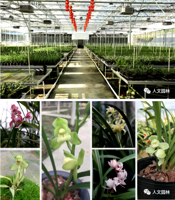 16837918651305626206.png image.png