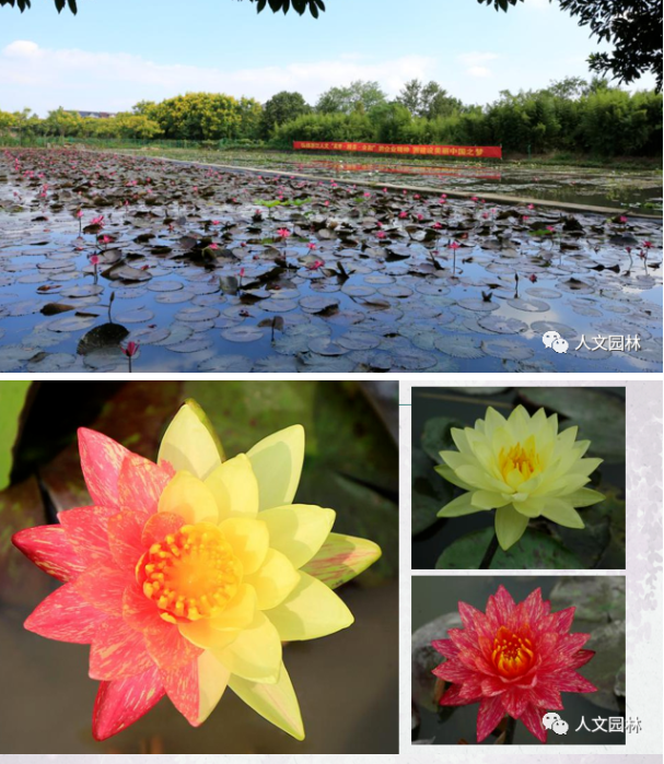 16837919109682151B46.png image.png