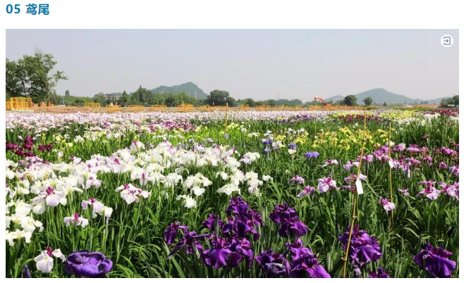 1688020584833568D6AC.png image.png