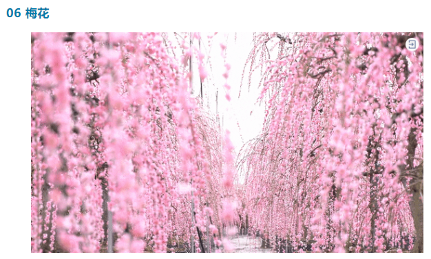 16880206151071144FF4.png image.png