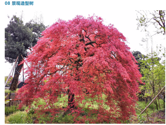 1688020647130868C72A.png image.png